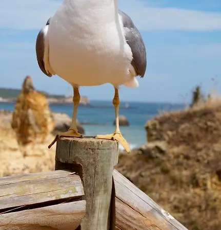 Lejlighed Atlantic Sun & *